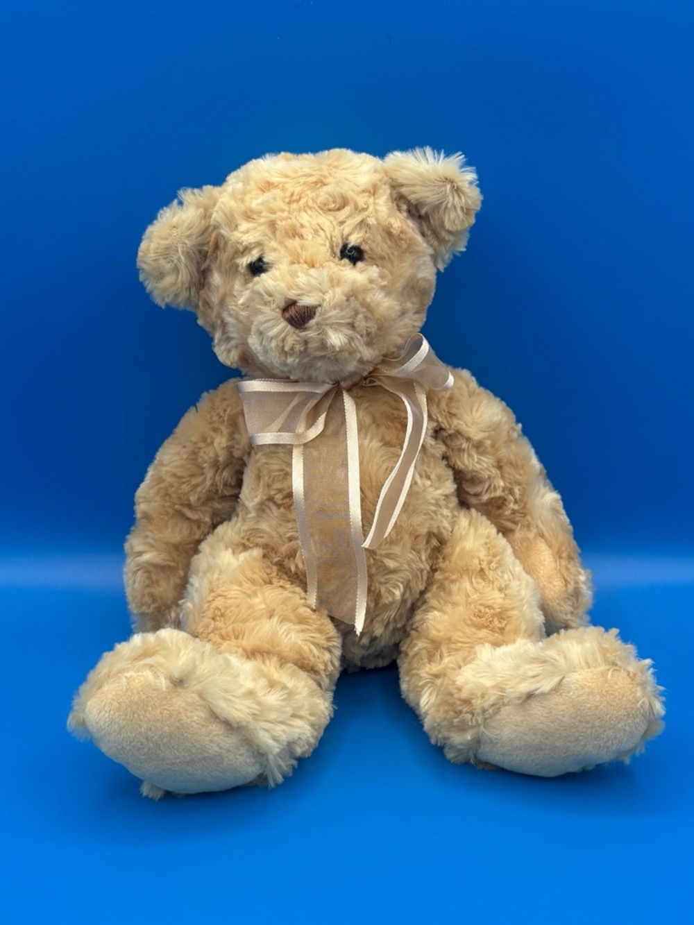 Wind-Up Douglas Cuddle Toy Musical Teddy Bear Plush